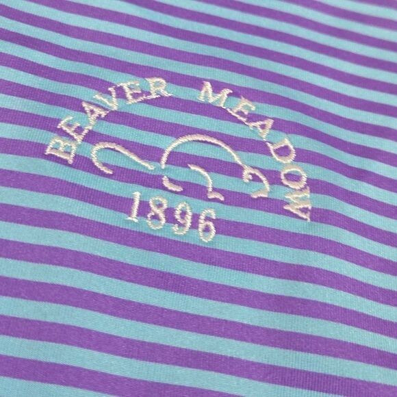 FJ FootJoy Foot Joy Men's Golf Polo Shirt Short Sleeve  Stripe Blue Purple XL - Picture 4 of 8